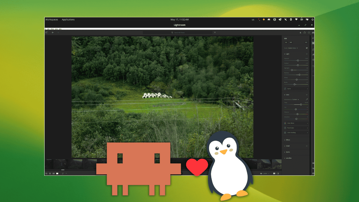 Screenshot of Adobe Lightroom CC running on a Linux desktop interface.