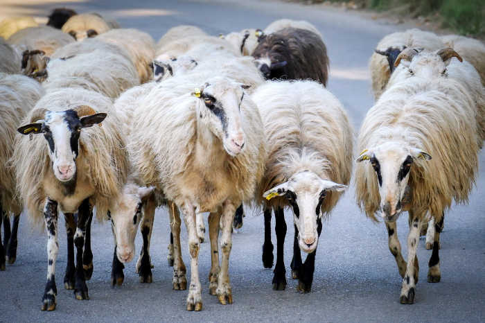 Gentoo GNU Hurd boot screen with login prompt